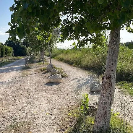 아파트 Ap8 Ximoapartments Atico Exclusivo Con Parking 올리바