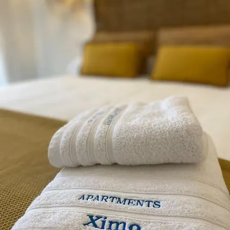 Ap8 Ximoapartments Atico Exclusivo Con Parking *