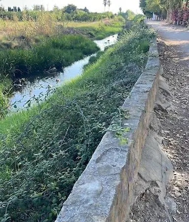 Ap8 Ximoapartments Atico Exclusivo Con Parking 올리바